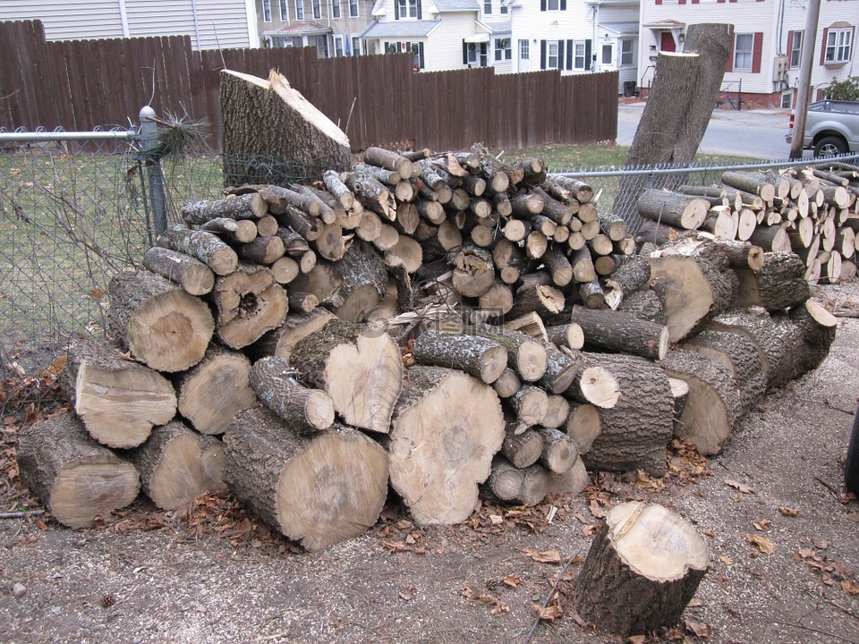 木材,木材堆,柴