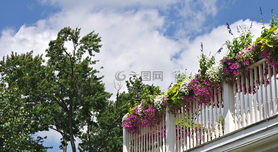 阳台上的花,花园,盛夏