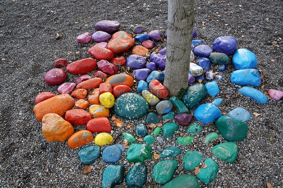 石头,丰富多彩,树