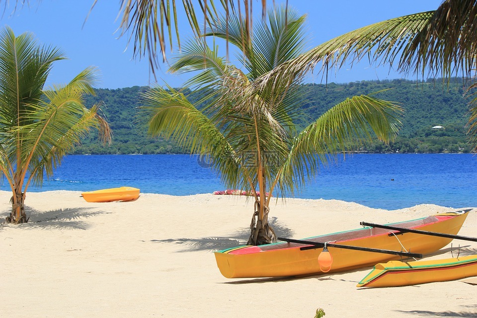 棕榈树,皮划艇,岛