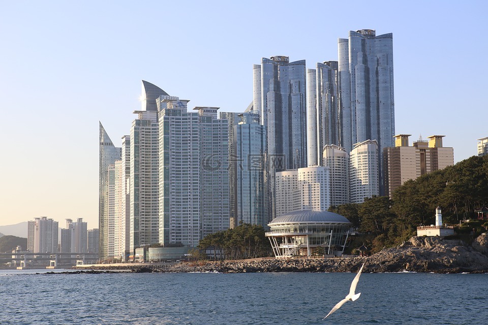 海云台海水浴场,海鸥,努里地板