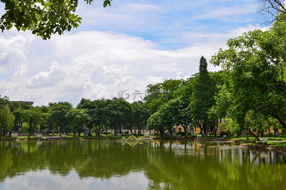 越南,农业,大学