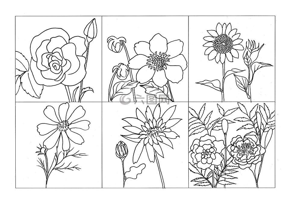 着色花 植物 玫瑰高清图库素材免费下载 图片编号 7475568 六图网