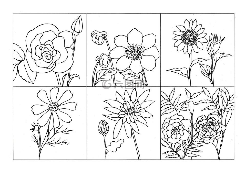 着色花图片 着色花素材 着色花模板免费下载 六图网