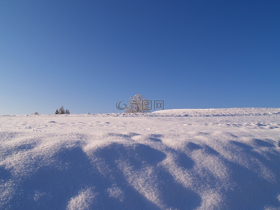 雪,冬天,寒冬