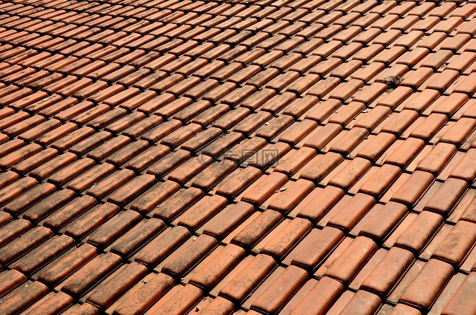 斜屋顶粘土,瓷砖,屋顶