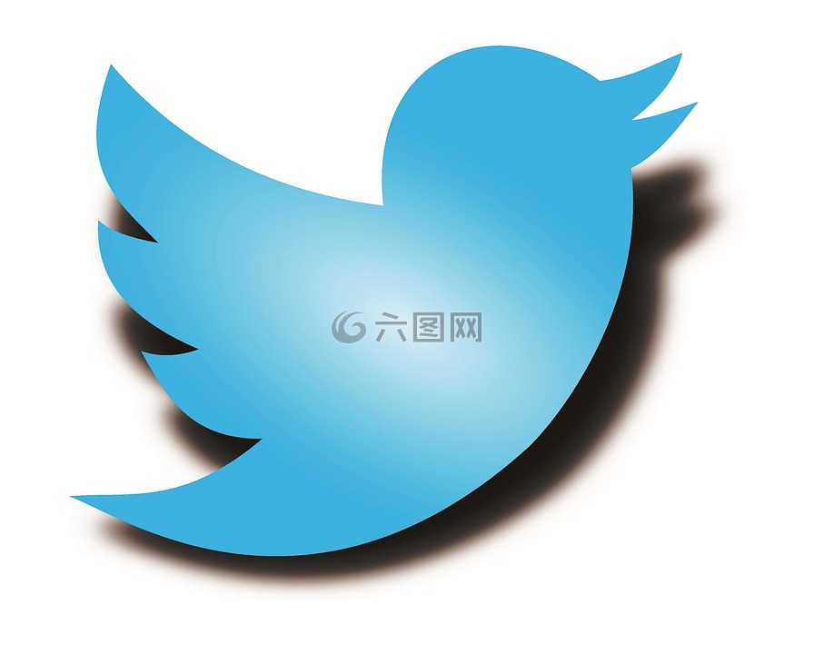 twitter 的标志,twitter 的鸟,twitter 的影子鸟