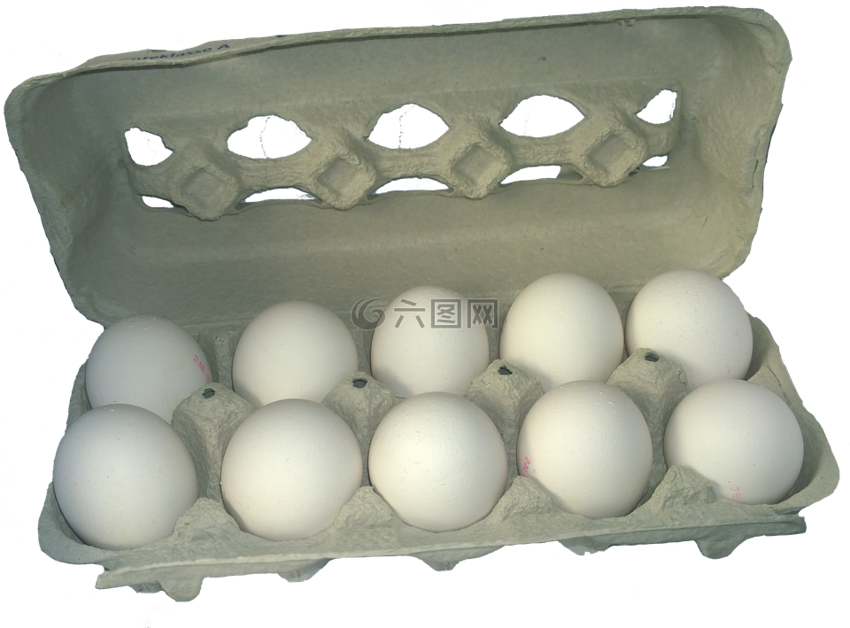 鸡蛋盒,鸡蛋,蛋