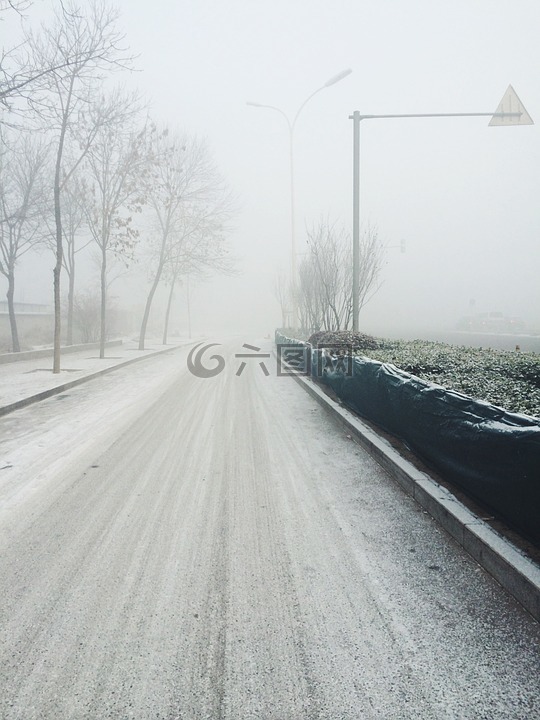 下雪,道路,冬天