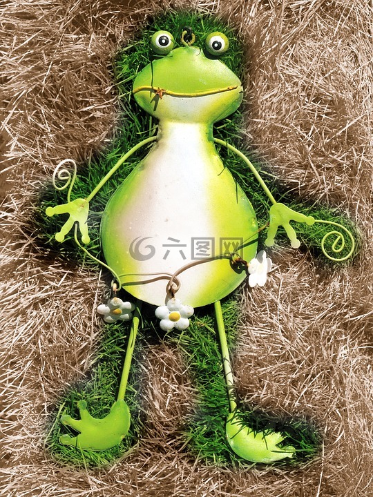 青蛙,绿色,绿色的小青蛙