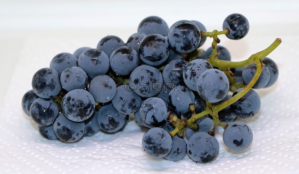 葡萄,蓝色的葡萄,水果