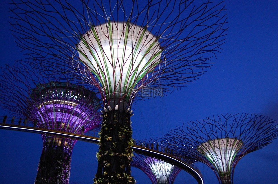 海湾花园,滨海湾,新加坡