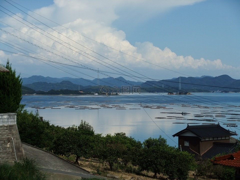 海,索大岛,濑户内海