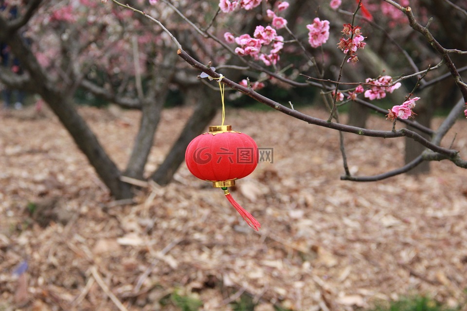 灯笼,梅花,中国元素