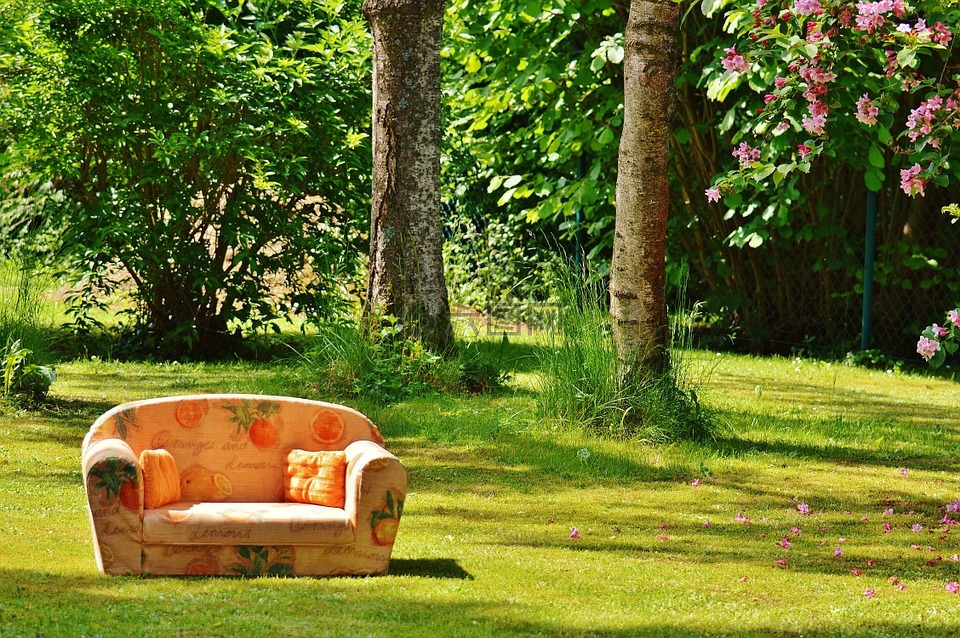 沙发,性质,草地