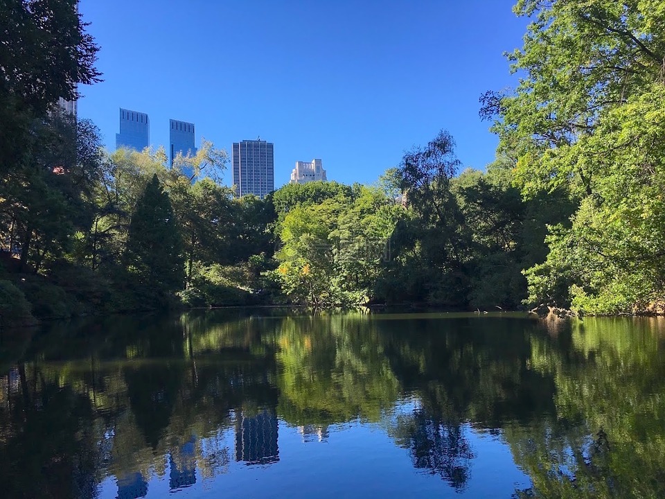 湖,公園,城市