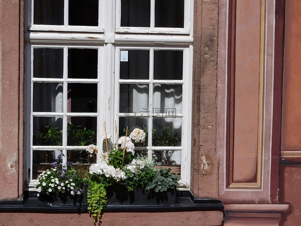 窗口,鲜花在窗口上,花箱