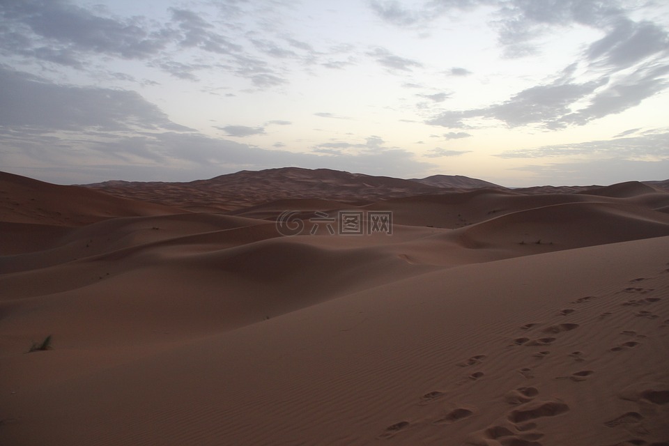 沙漠,撒哈拉,摩洛哥