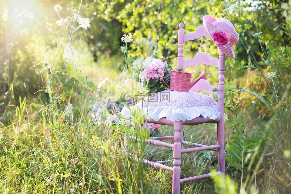 粉红色的椅子,夏天,自然
