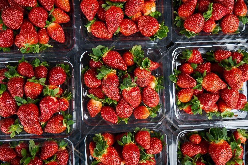 草莓,水果,新鲜