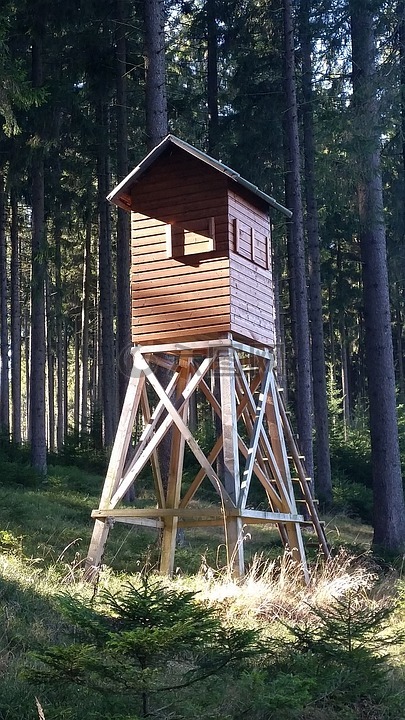 喜悦,狩猎,猎人