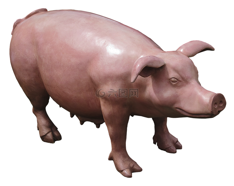 猪,母猪,雕塑