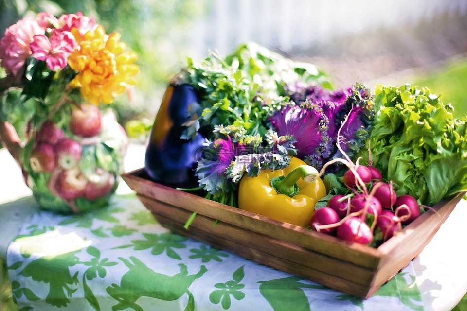 蔬菜,花园,收获