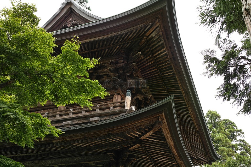 enkakuji 寺,寺,镰仓