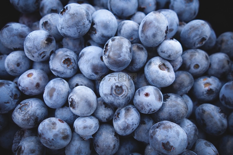 蓝莓,水果,食品