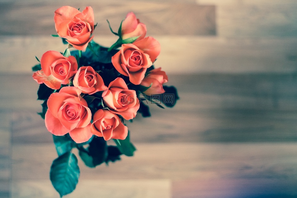 玫瑰,鲜花,花束