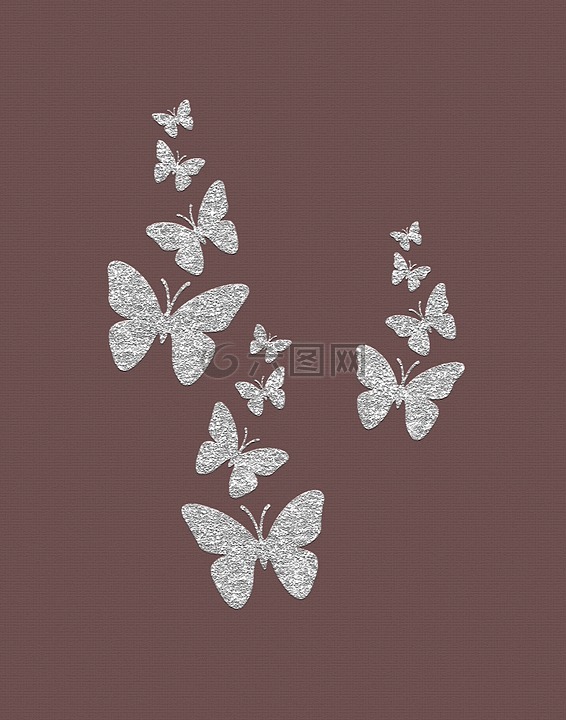 蝴蝶,自然,银