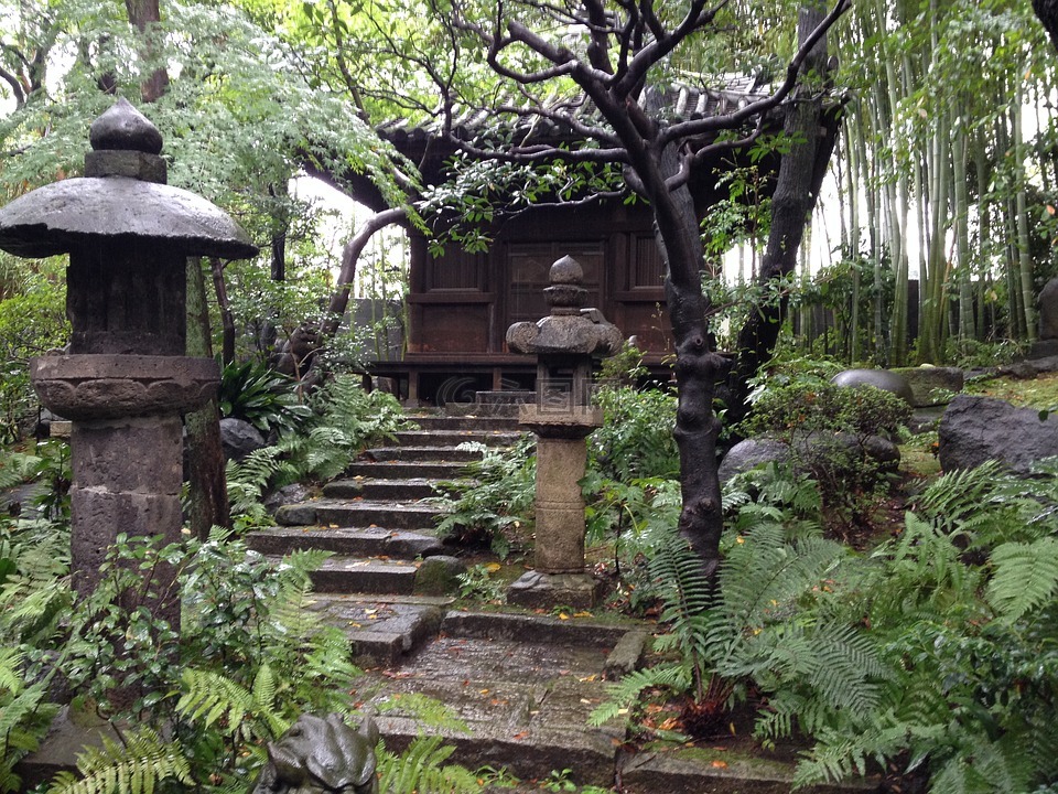花园,日本花园,茶室