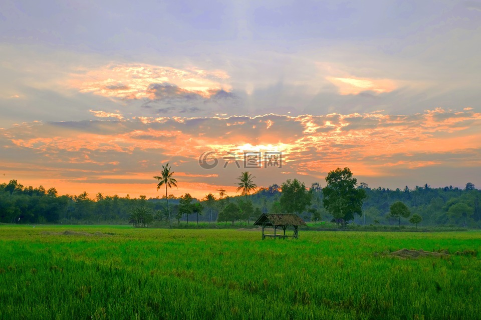 印度尼西亚,楠榜,景观