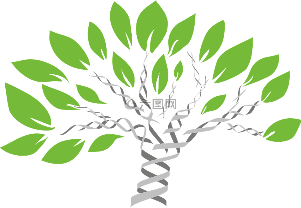 基因树,生命之树,演化
