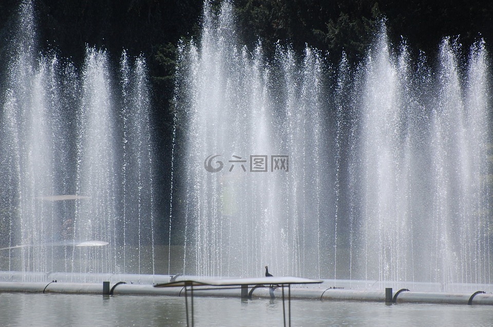 水喷泉,水景,喷泉