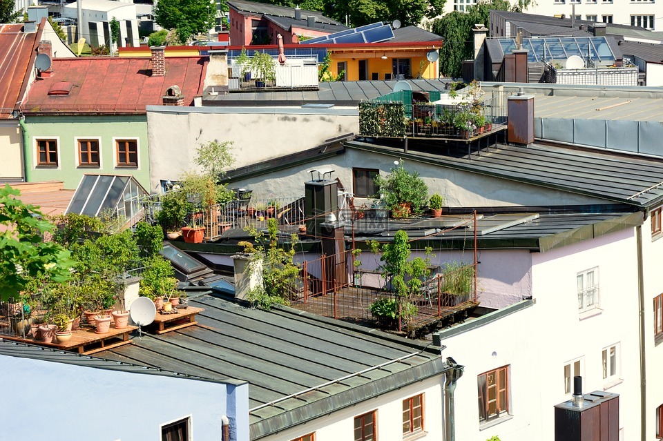 屋顶露台,阳台,屋顶花园