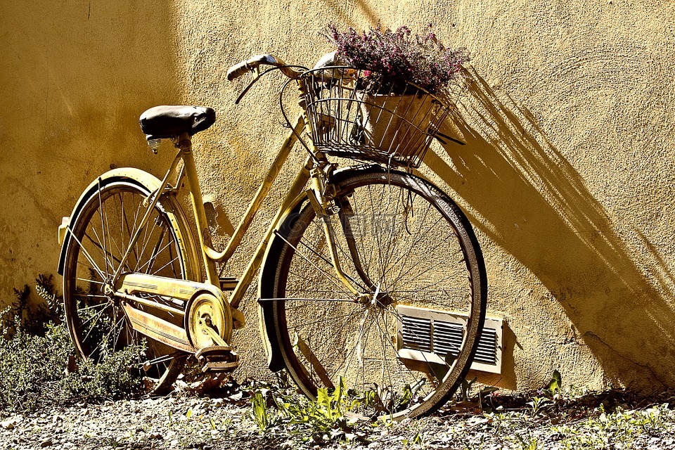 自行车,两个,车轮