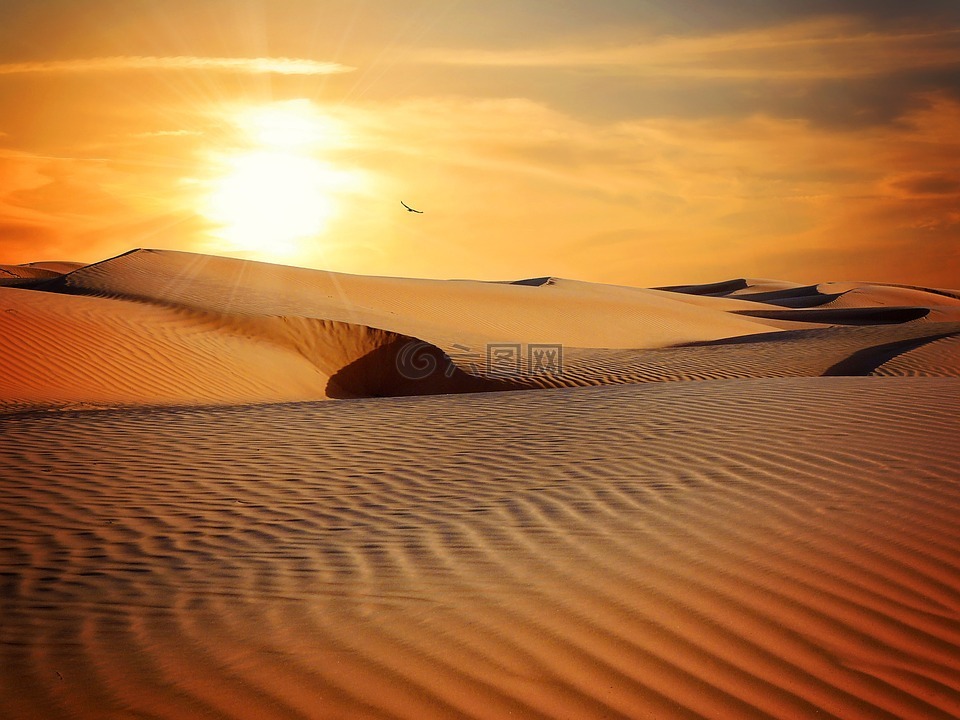 沙漠,沙,景观