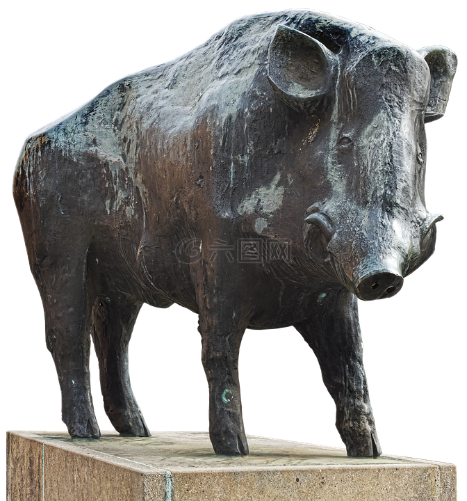 公猪,铜像,动物图