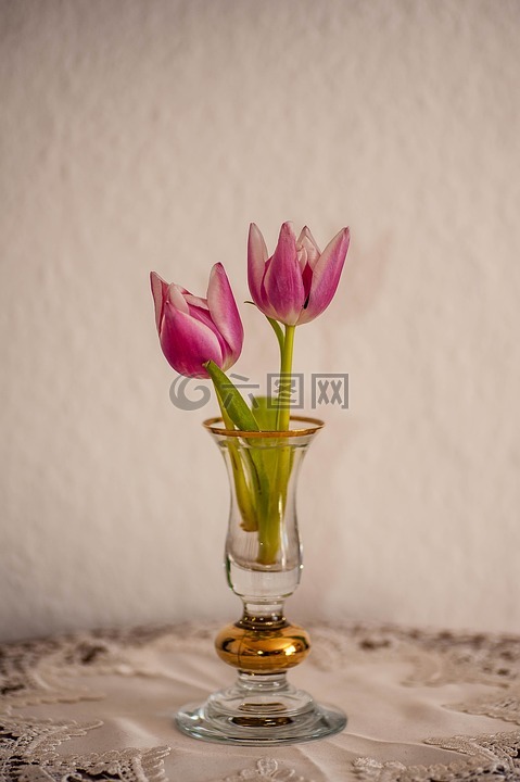 花,花瓶,静物
