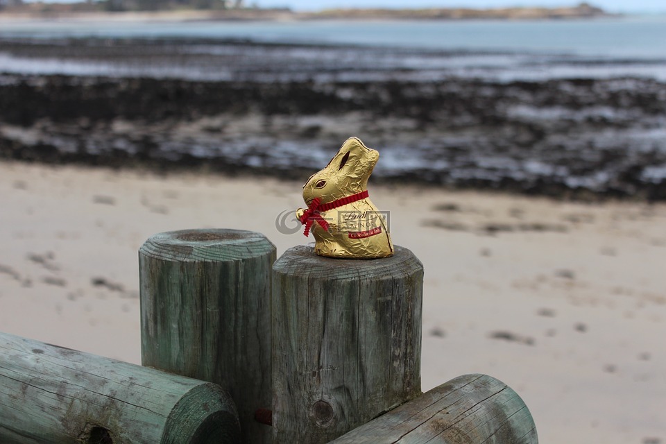 复活节彩蛋,海边,巧克力