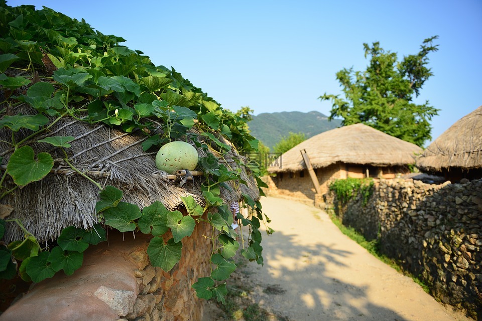 主页,naganeupseong,顺川