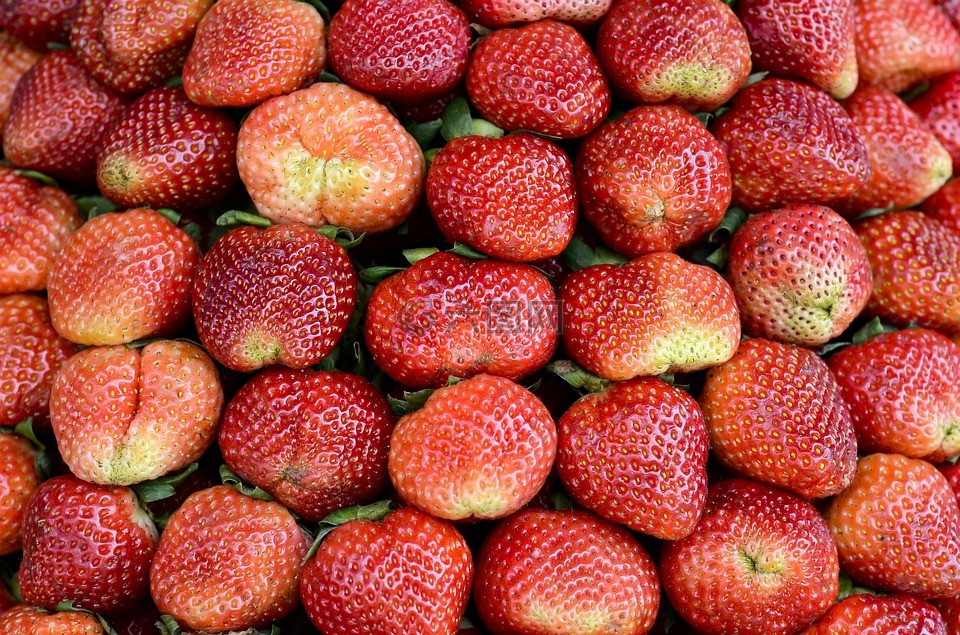 草莓,红色,大叻