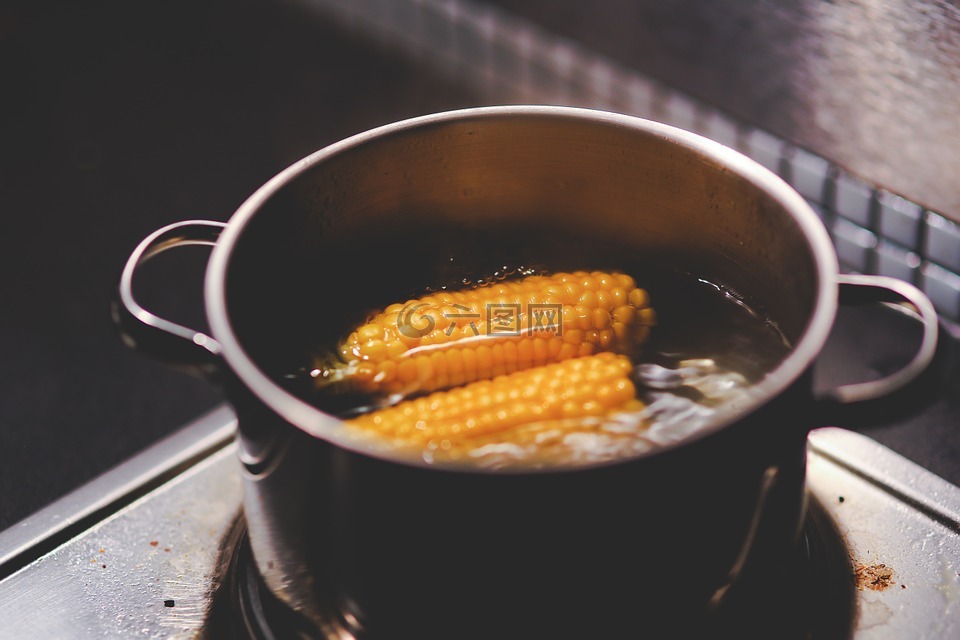 烹饪,沸腾,玉米
