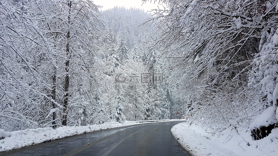 山,道路,冬季