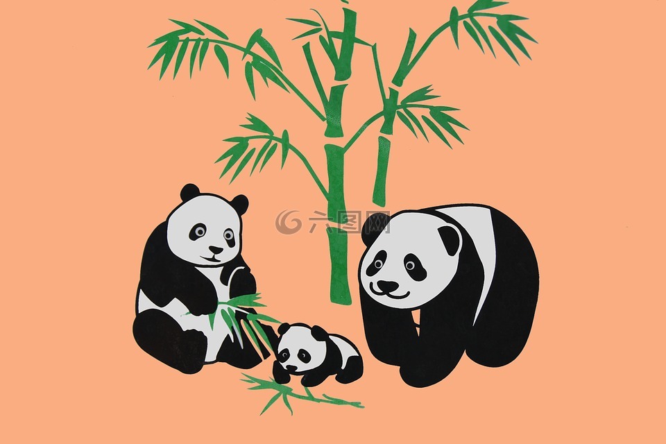 熊猫,动物,矢量图形