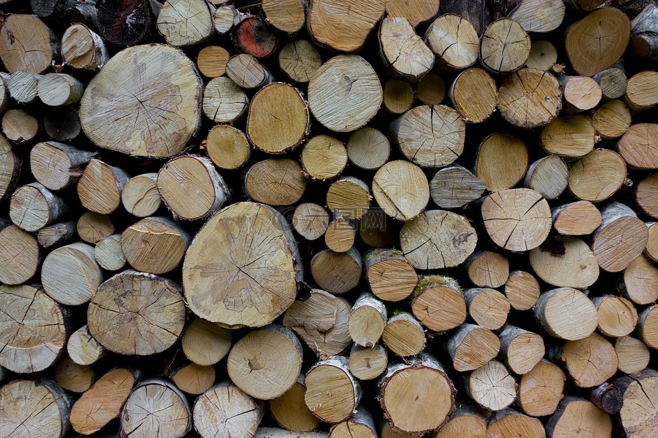 木,holzstapel,林业工人