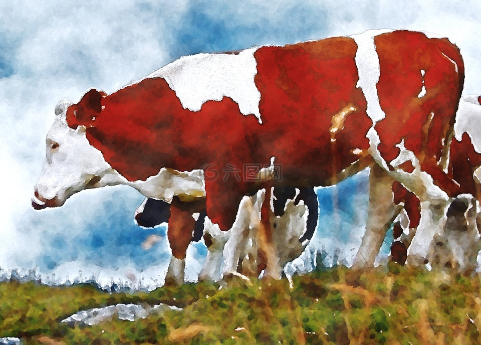 牛,放牧,水彩画