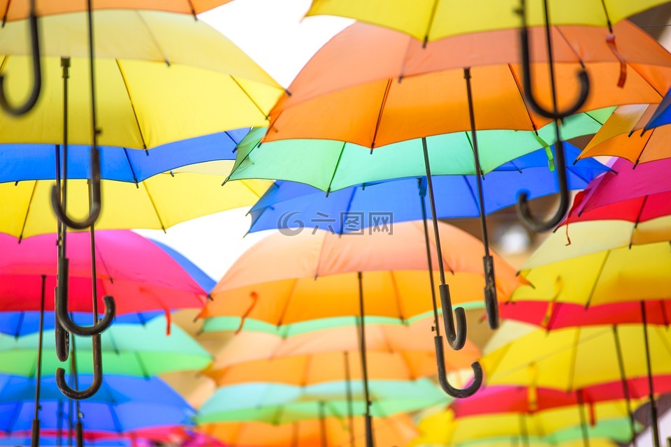五颜六色的雨伞,颜色,雨