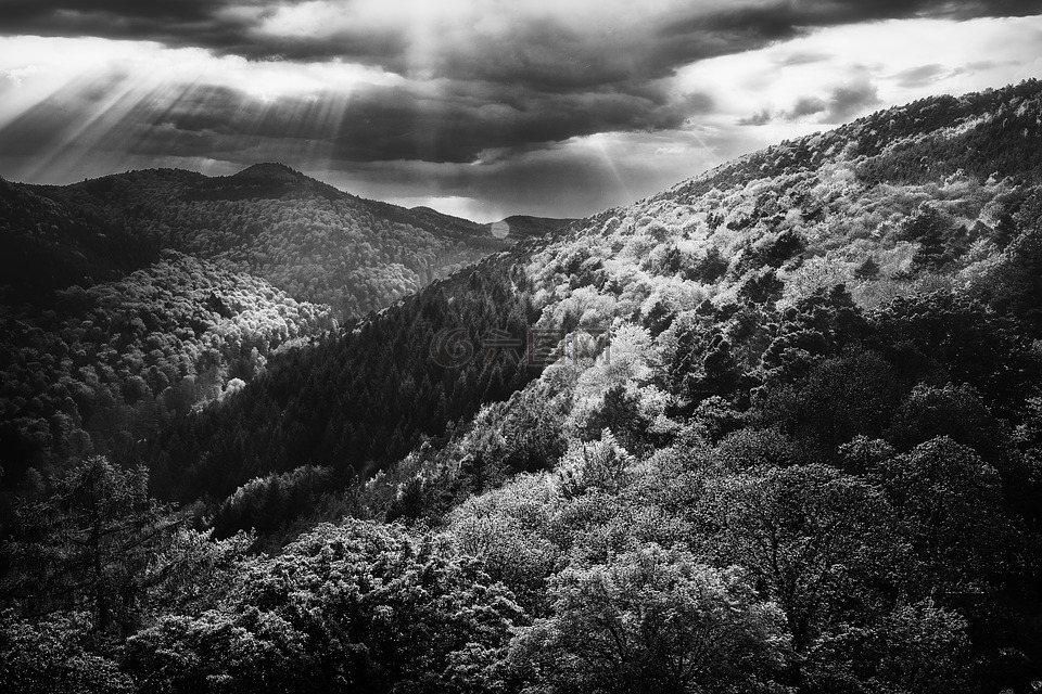 首页 高清图库 商用摄影图 自然/风景 > 当前作品